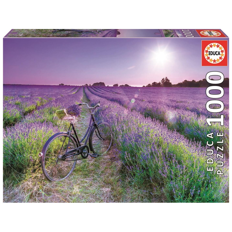 1000 BICICLETA EN CAMPO DE LAVANDA