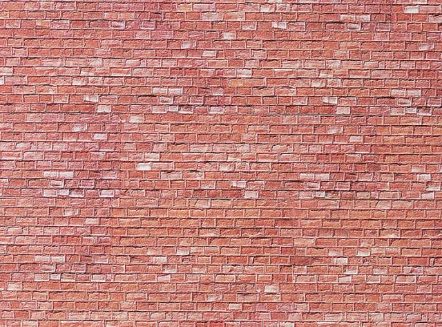 PLACA MURO