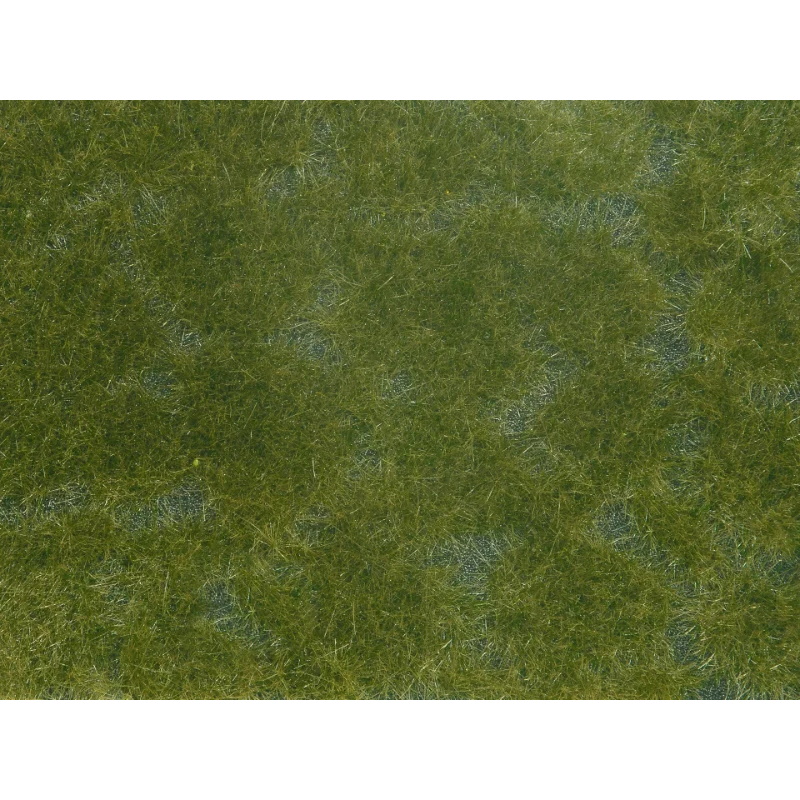 FOLLAJE VEGETACIÓN TAPIZ VERDE OSCURO