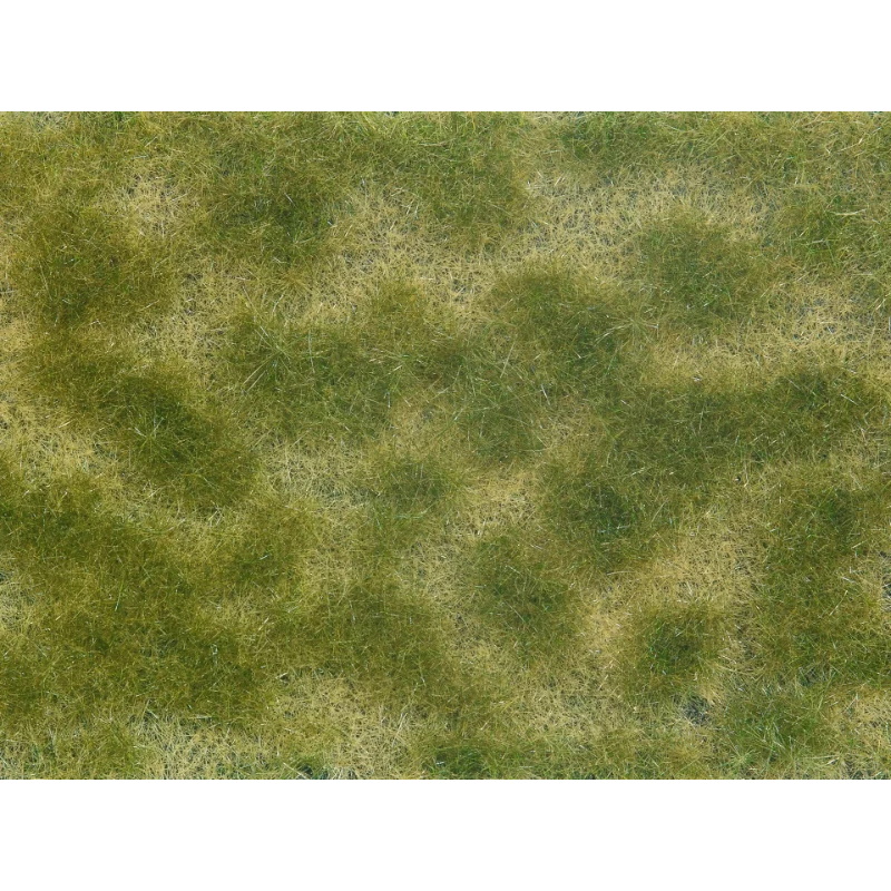 FOLLAJE VEGETACIÓN TAPIZ VERDE/BEIGE