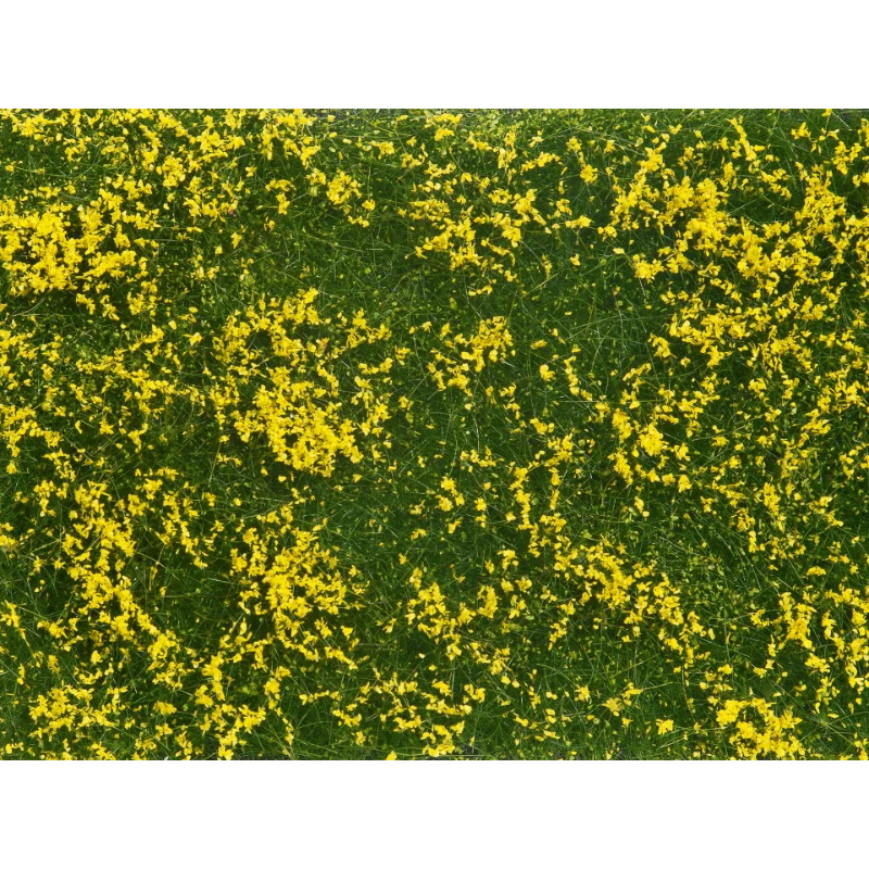 FOLLAJE VEGETACIÓN TAPIZ VERDE AMARILLO