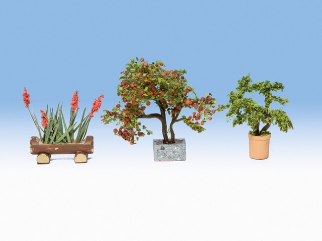 PLANTAS ORNAMENTALES EN BARREÑOS (3)