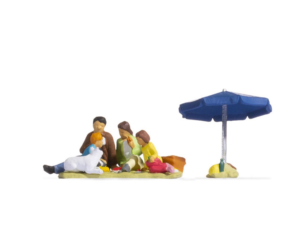 FAMILIA DE PICNIC
