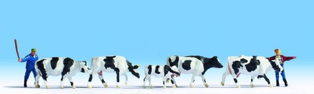 CONDUCIENDO VACAS (2 FIGURAS + 5 VACAS)