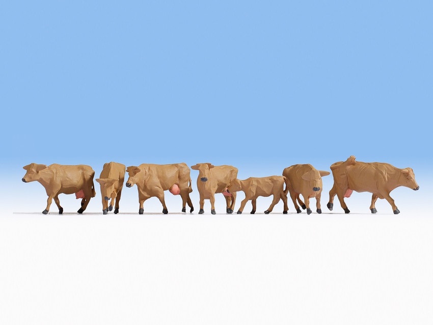 VACAS MARRONES (7)