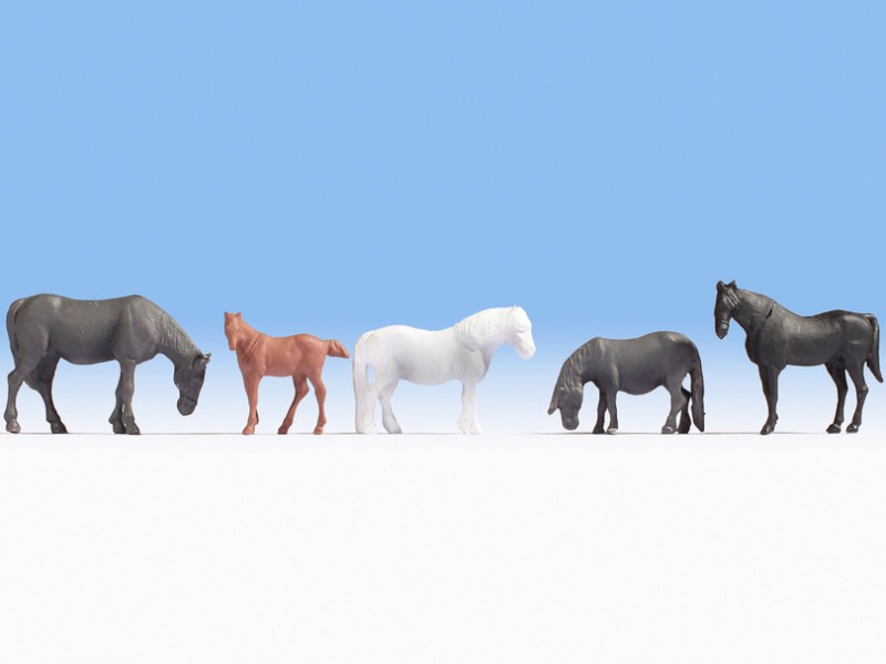 CABALLOS