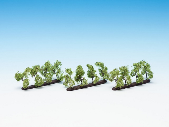 PLANTACIÓN DE ÁRBOLES