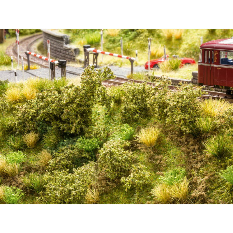VEGETACIÓN DE TERRAPLÉN FERROVIARIO