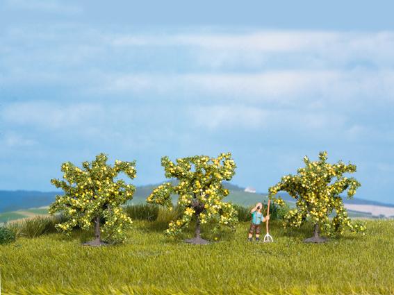 LIMONEROS (3) – 40 MM.