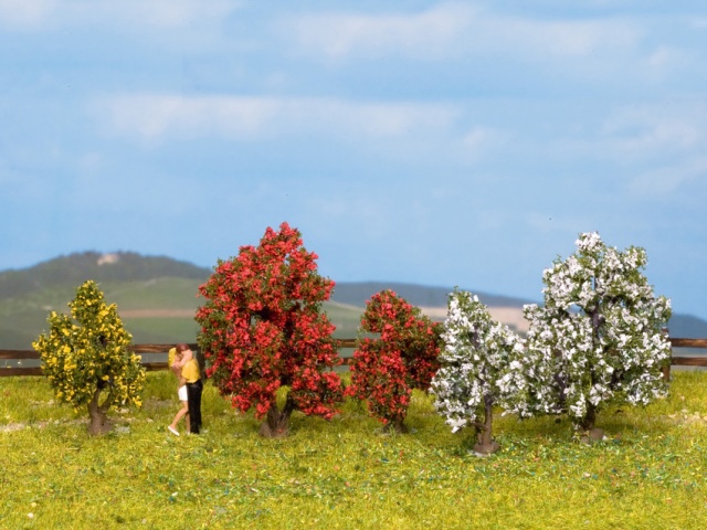 ÁRBOLES EN FLOR