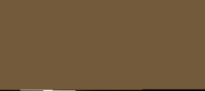 TIERRA