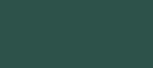 VERDE BRONZEADO