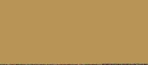 MARRON AMARILLO