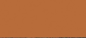 MARRON NARANJA