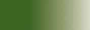 VERDE CLARO CLAM.