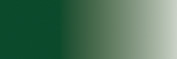 VERDE ACORAZADO
