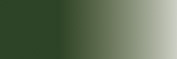 VERDE RUSO