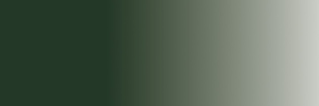 VERDE OSCURO CAMUFLAJE