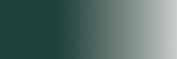VERDE NEGRO