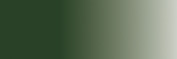 VERDE CAMUFLAJE