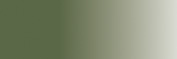 GRIS VERDE CLARO