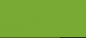 VERDE LIMA