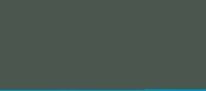 GRIS VERDE