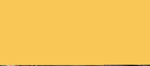 AMARILLO DORADO