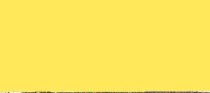 AMARILLO CLARO