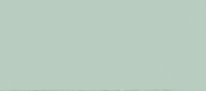 VERDE GRIS PALIDO