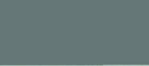 GRIS NEUTRAL