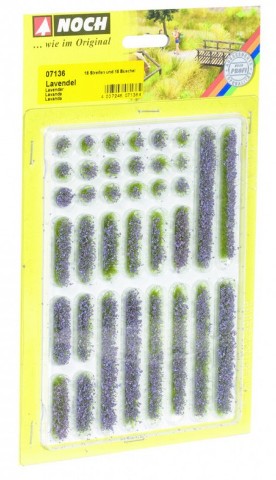 PLANTAS (LAVANDA)