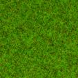 HIERBAS DE PRADERA PRIMAVERAL (1.5 MM) – 20 GR.