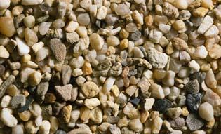 GRAVILLA MEDIANA (BOLSA DE 250 GR.)