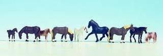 CABALLOS (9)