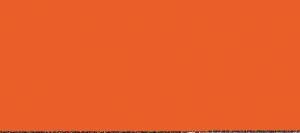 NARANJA INTENSO