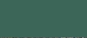 VERDE ACORAZADO