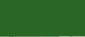 VERDE OLIVA OSCURO