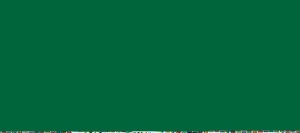 VERDE OSCURO