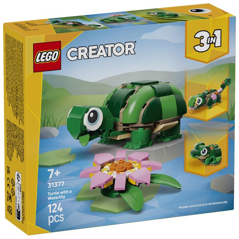 TORTUGA CON FLOR DE NENÚFAR