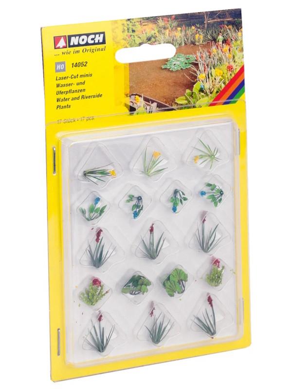 PLANTAS ACUÁTICAS (17)