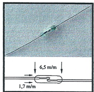 MICRO AMPOLLA REED – MAX. 0,5 A  1.7×6.5 mm
