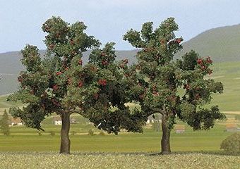 MANZANOS  (2)