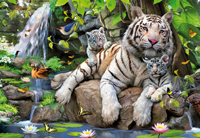 TIGRES BLANCOS DE BENGALA
