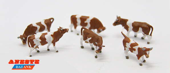 VACAS MARRONES