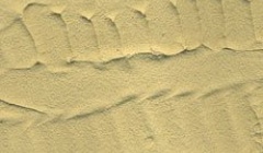 ARENA DESIERTO