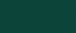 VERDE NEGRO