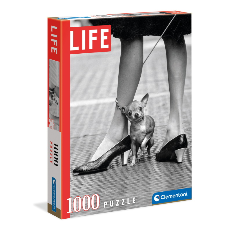 1000 CHIHUAUA – LIFE MAGAZINE
