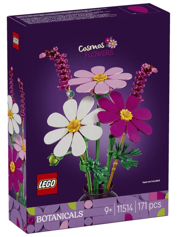 FLORES DE COSMOS